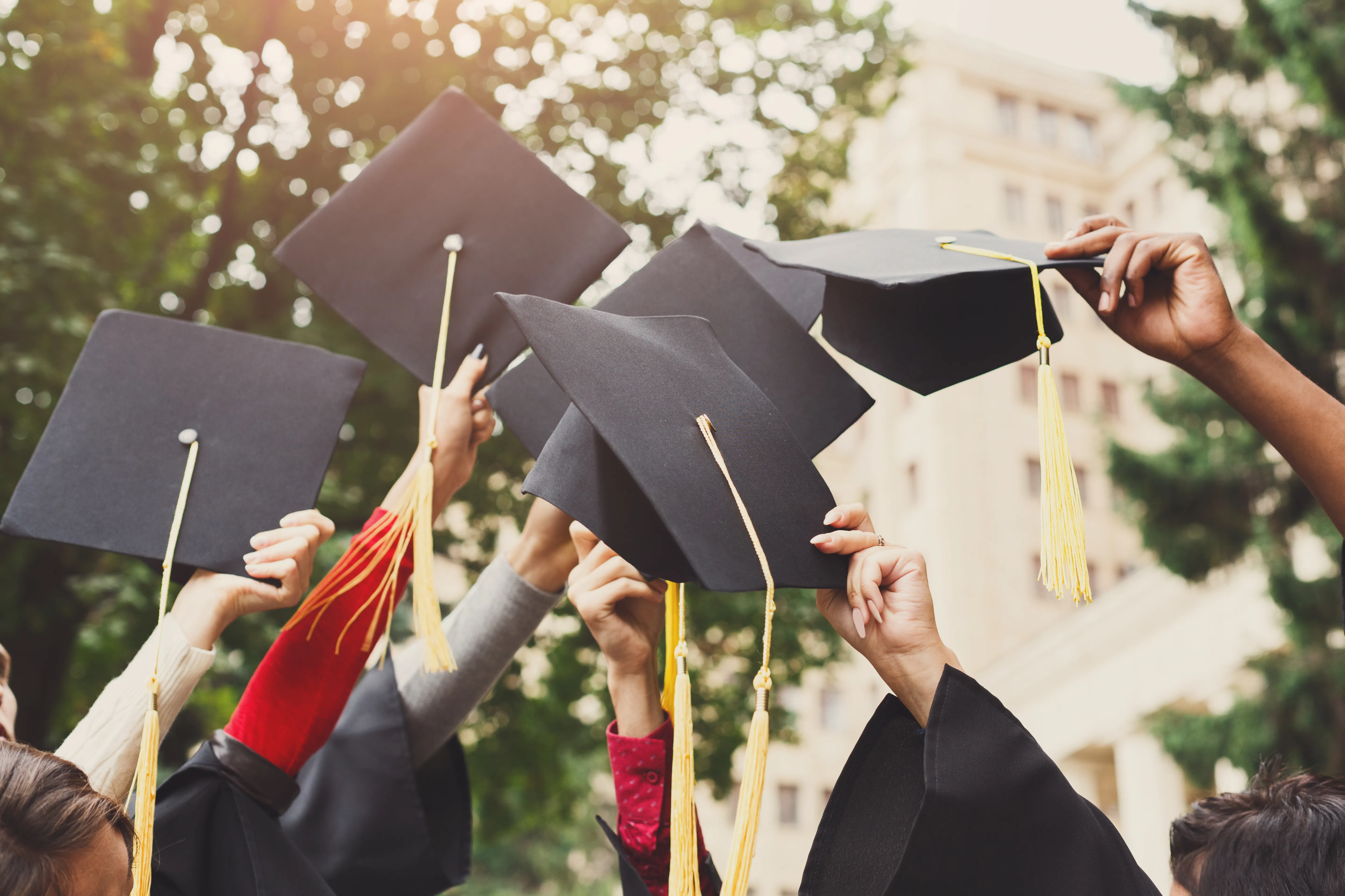 Graduation collection