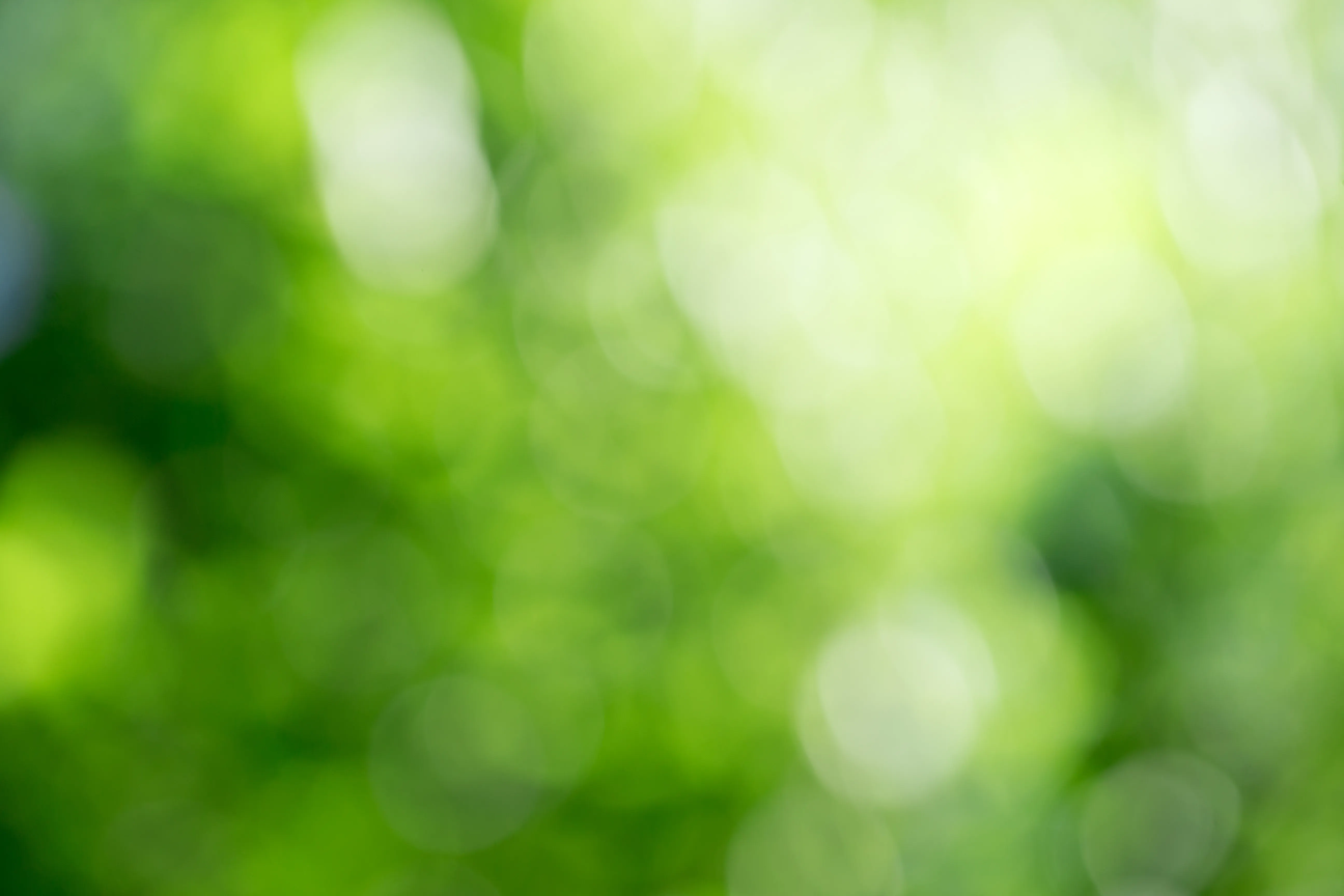 Backgrounds Category
